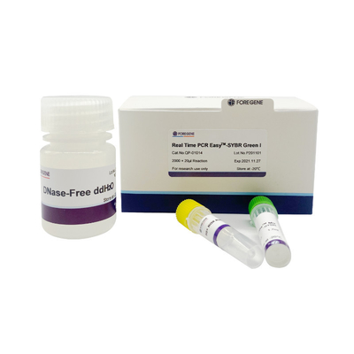 Hohe Reaktions-Empfindlichkeit Realzeit-Grün des PCR-Reaktions-Mischgut-System-PCR EasyTM-SYBRⅠ