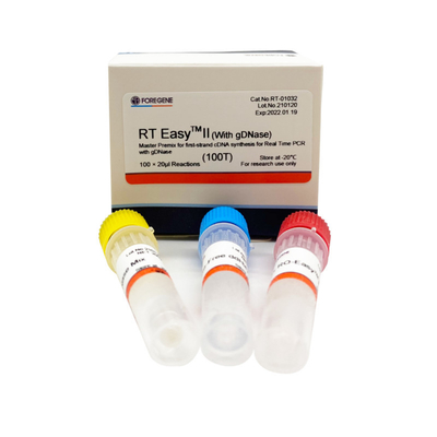 Funktelegrafie EasyTM II mit den Rückübertragungs-Zündkapseln, zum des Vorlagenmischguts für Synthese des Erst-Strang-CDNA/Realzeit-PCR zu benutzen