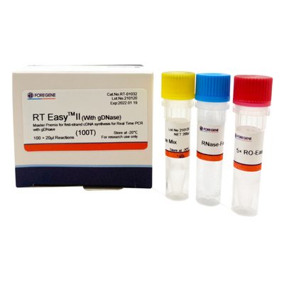 Funktelegrafie EasyTM II mit den Rückübertragungs-Zündkapseln, zum des Vorlagenmischguts für Synthese des Erst-Strang-CDNA/Realzeit-PCR zu benutzen