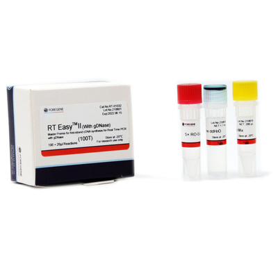 Funktelegrafievorlagenmischgut einfaches II für erste Synthese des Strang-CDNA mit GDNase