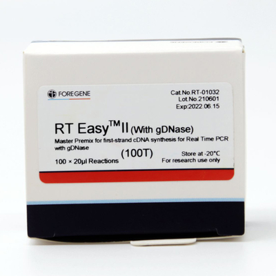 Funktelegrafievorlagenmischgut einfaches II für erste Synthese des Strang-CDNA mit GDNase