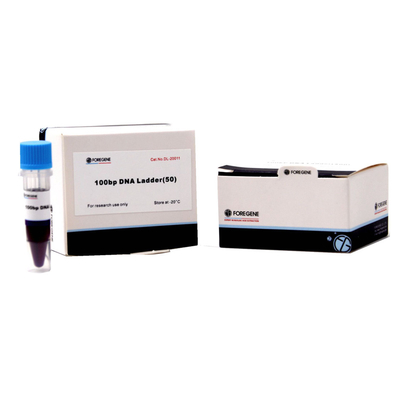 50 BP bis 15 Kb-DNA-Marker und Leitern für Agarose-Gel-Elektrophorese