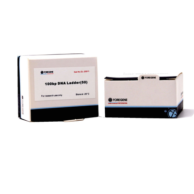 50 BP bis 15 Kb-DNA-Marker und Leitern für Agarose-Gel-Elektrophorese