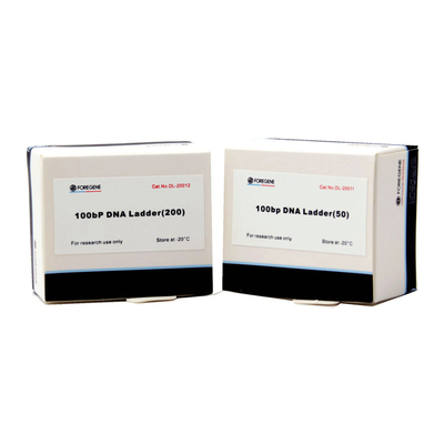 50 BP bis 15 Kb-DNA-Marker und Leitern für Agarose-Gel-Elektrophorese