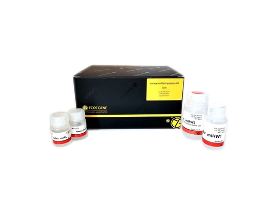 Drehbeschleunigungs-Spalte Tier-MiRNA Isolation Kits RE-0101T für Laborforschung benutzen kein Bedarfs-Eis-Bad