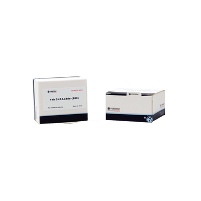 1 Kb DNA-Leiter für DNA-Fragment-Elektrophorese-Entdeckungs-wissenschaftliche Forschungs-Gebrauch