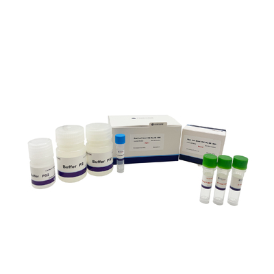 Betriebsblatt direkter PCR plus Ausrüstung UNG PCR-Ausrüstung DNA-Polymerase-Zerstörungs-Puffer-Betriebsblatt für transgene Pflanzen