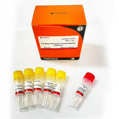 Rückseite Transkriptase Foreasy M-MLV für CDNA-Synthese-Zündkapsel-Erweiterung PCR-Ausrüstungen mit DNA-Polymerase