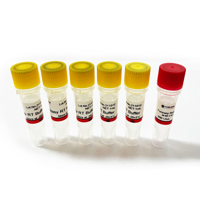 Rückseite Transkriptase Foreasy M-MLV für CDNA-Synthese-Zündkapsel-Erweiterung PCR-Ausrüstungen mit DNA-Polymerase
