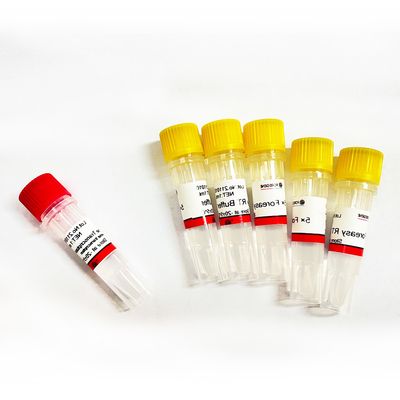 Rückseite Transkriptase Foreasy M-MLV für CDNA-Synthese-Zündkapsel-Erweiterung PCR-Ausrüstungen mit DNA-Polymerase
