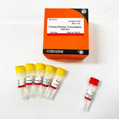 Rückseite Transkriptase Foreasy M-MLV für CDNA-Synthese-Zündkapsel-Erweiterung PCR-Ausrüstungen mit DNA-Polymerase
