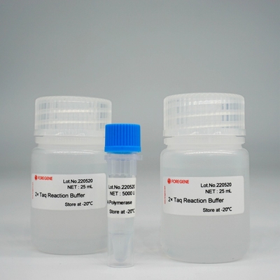 Foreasy Taq Polymerase Kit For PCR/QPCR DNA-Polymerase HotStar Taq