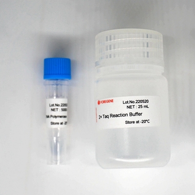 Foreasy Taq Polymerase Kit For PCR/QPCR DNA-Polymerase HotStar Taq