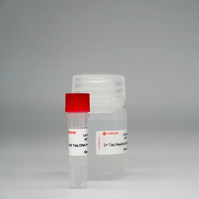 Foreasy HS Taq DNA-Polymerase Super-Enzym-Mischung HotStar Taq für PCR/QPCR