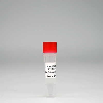 Foreasy HS Taq DNA-Polymerase Super-Enzym-Mischung HotStar Taq für PCR/QPCR