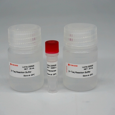 Foreasy HS Taq DNA-Polymerase Super-Enzym-Mischung HotStar Taq für PCR/QPCR