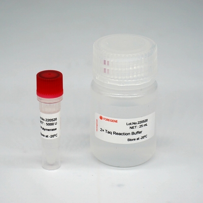 Foreasy HS Taq DNA-Polymerase Super-Enzym-Mischung HotStar Taq für PCR/QPCR