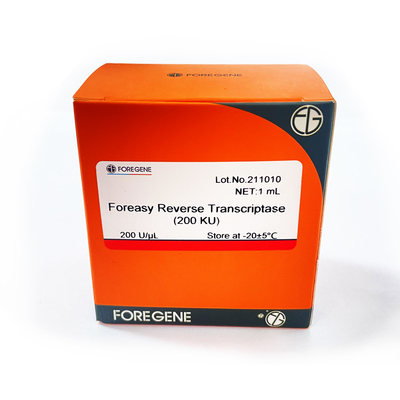 Foreasy-neue Generation von M-MLV Rückseiten-Transkriptase Funktelegrafie-Enzym Foreasy