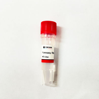 Fabrik-hohes Produktion Foreasy-RNase-Hemmnis Chinas IVD für RNS Schutz
