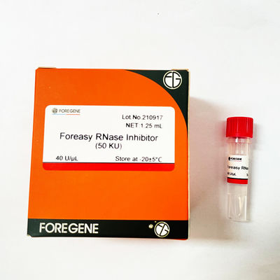 Fabrik-hohes Produktion Foreasy-RNase-Hemmnis Chinas IVD für RNS Schutz