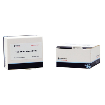 DNA-Marker 2000 100 Tests 500 μL, das 100bp-2000bp für Elektrophorese verpackt