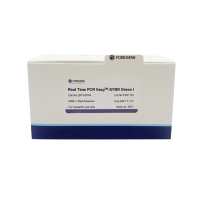 Realzeit-einfaches TM-SYBR Grün PCRⅠ für Realzeit-PCR-Verstärkungs-Reaktion