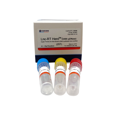 Supermischgut Lnc-Funktelegrafie HeroTM I (mit gDNase) für Erststrang cDNA Synthese vom lncRNA Cat.No.RTL-09098/09099
