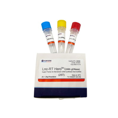 Supermischgut Lnc-Funktelegrafie HeroTM I (mit gDNase) für Erststrang cDNA Synthese vom lncRNA Cat.No.RTL-09098/09099