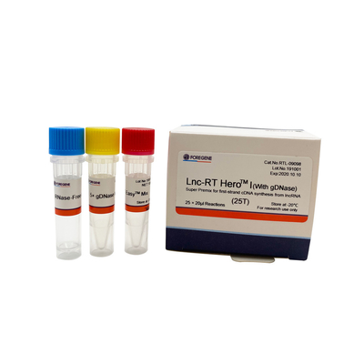 Supermischgut Lnc-Funktelegrafie HeroTM I (mit gDNase) für Erststrang cDNA Synthese vom lncRNA Cat.No.RTL-09098/09099
