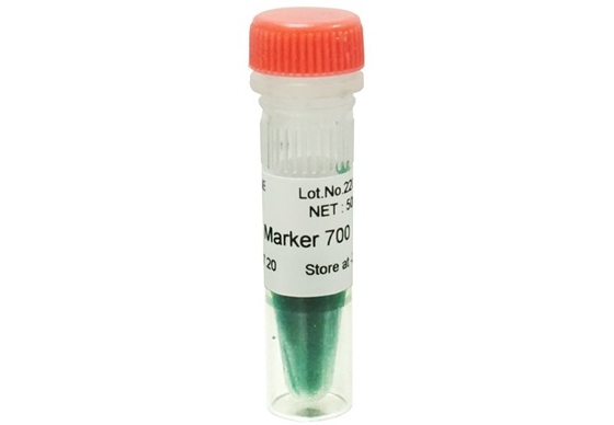 DNA-Marker-Agarose-Gel PCR-Ausrüstung DNA-Leiter 700bp für Molekularbiologie-Tests