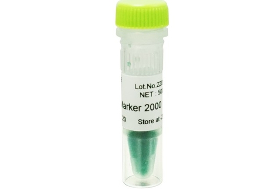 Agarose-Gel PCR-Ausrüstung DNA-Leiter des DNA-Marker-2000bp für Forschung