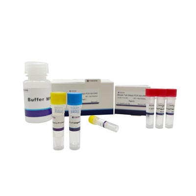 Molekulares Biotierveterinärdiagnoselabormäuseendstück direkter PCR Kit With UNG
