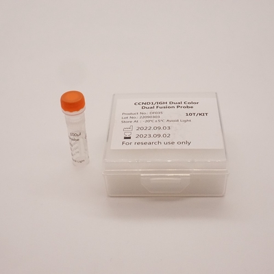 CCND1/IGH Dual Fusion Probe Kit zur Erkennung von Anomalien des menschlichen CCND1/IGH-Gens