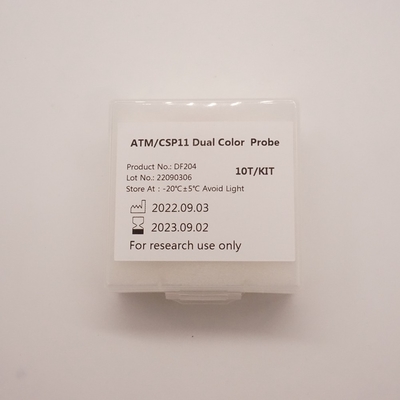 ATM/CSP11 Zweifarbige Sonde zur Erkennung von Anomalien des menschlichen ATM(11q22)-Gens