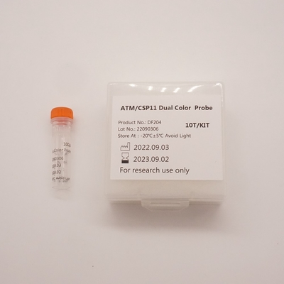 ATM/CSP11 Zweifarbige Sonde zur Erkennung von Anomalien des menschlichen ATM(11q22)-Gens