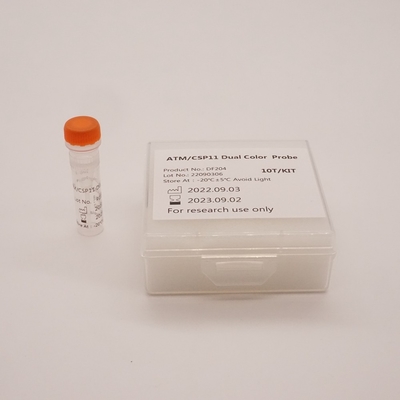 ATM/CSP11 Zweifarbige Sonde zur Erkennung von Anomalien des menschlichen ATM(11q22)-Gens