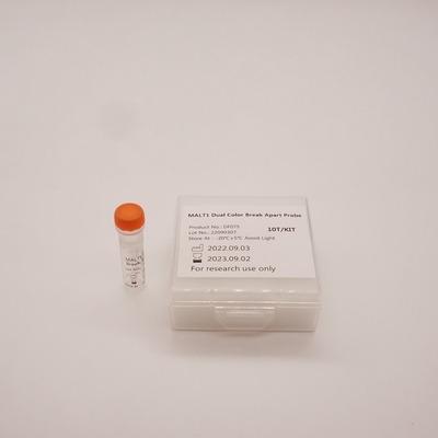 MALT1 Dual Color Break Apart Probe zur Erkennung von Anomalien des menschlichen MALT1-Gens