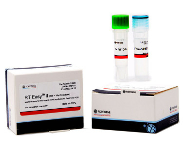 Synthese Kit High Sensitivity Realzeit-des PCR-Transcriptor-erste Strang-CDNA
