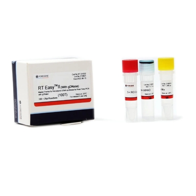 CDNA-Synthese PCR-Hauptmischgut-Rückübertragung Funktelegrafie einfaches II 50T 200T