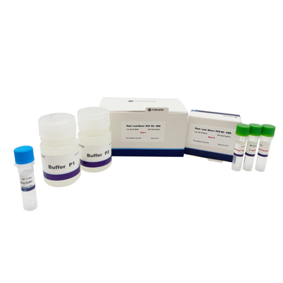 50 Test-Betriebsblatt direkte PCR-Ausrüstung 50×20ul Rxns 200×20ul Rxns