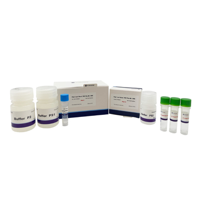 200 Test-Verpackungs-Betriebsblatt direkte hohe effektive PCR-Reagens-Kit With-UNG