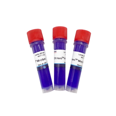 Schnelle Reagens PCR-Ausrüstungen mit Färbung PH-01013-B PCR-Mischung 3*1.7ml 50ml