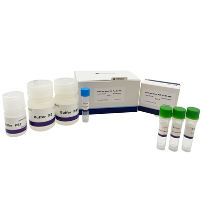 Puffer-Betriebsblatt DNA 6x ladendes plus direkte PCR-Ausrüstungen mit UNG