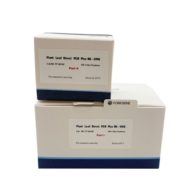 Puffer-Betriebsblatt DNA 6x ladendes plus direkte PCR-Ausrüstungen mit UNG
