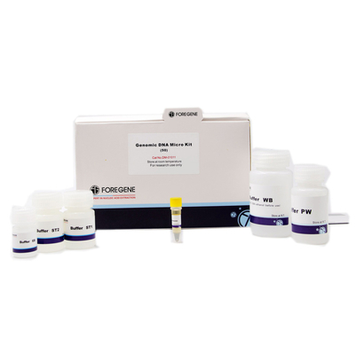 Puffer S1-General Plasmid Mini-DNA-Isolierungs-Ausrüstung OD260 OD280