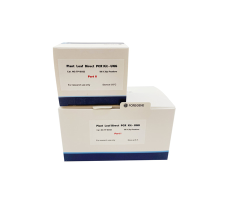 Puffer P1 dämpfen Blatt der Anlagenp2 direkte Mischung PCR einer Schritt-2X ab