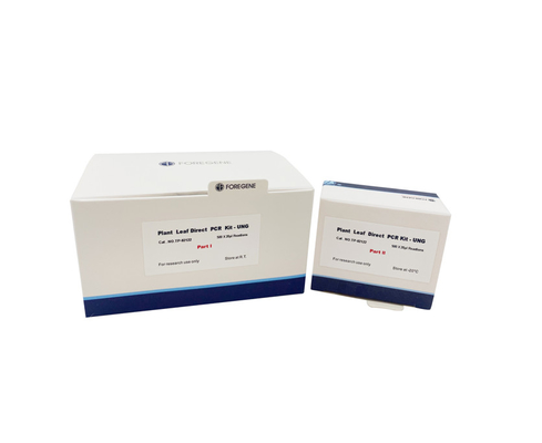 Puffer P1 dämpfen Blatt der Anlagenp2 direkte Mischung PCR einer Schritt-2X ab