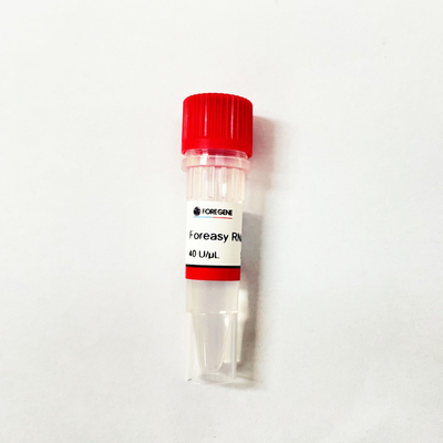 Beispielnukleinsäure-Trennmittel für DNA-RNS Reinigung vor Realzeit-PCR-Reaktion
