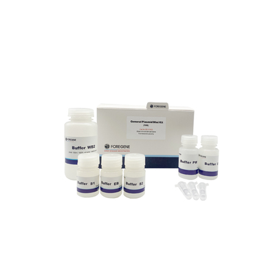 Allgemeines Plasmid Mini-DNA-Isolierungs-Kit Purification Column Plasmid DNA-Extraktion