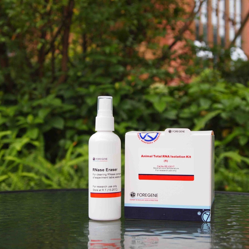 RNase-Radiergummi mit RNS Isolierungs-Ausrüstungen tragen Handschuhe, um Arbeitsflächen zu säubern, System des umfassenden Qualitätsmanagements zu treffen